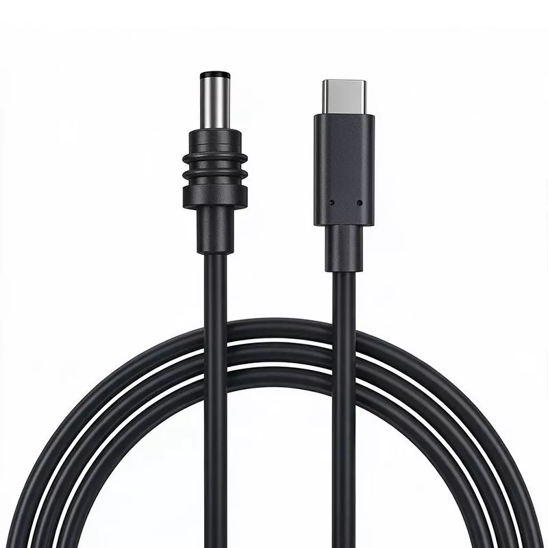 สายไฟ Starlink Mini DC เป็นสาย USB C